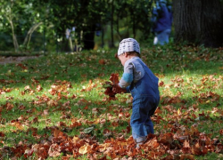 В понедельник в Молдове сохранится теплая погода без осадков