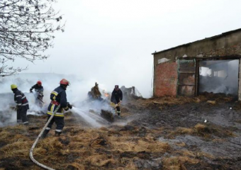 Пожар в Леовском районе уничтожил 35 овец