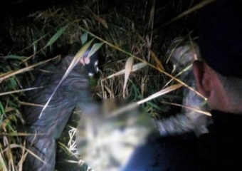 СМИ: маньяк из Молдовы убил девочку на Украине