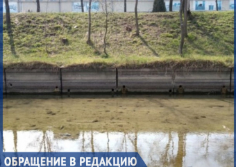 Бык задохнулся: окраину Кишинева накрыла волна ядовитой вони