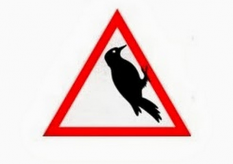 Мгновенная карма: В Комрате автохам решил срезать путь через парк и застрял