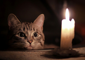 Во вторник без света останутся некотрые жители Ботаники и Буюкан  