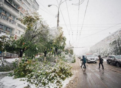 20 апреля 2017 - знаменитый апрельский снегопад