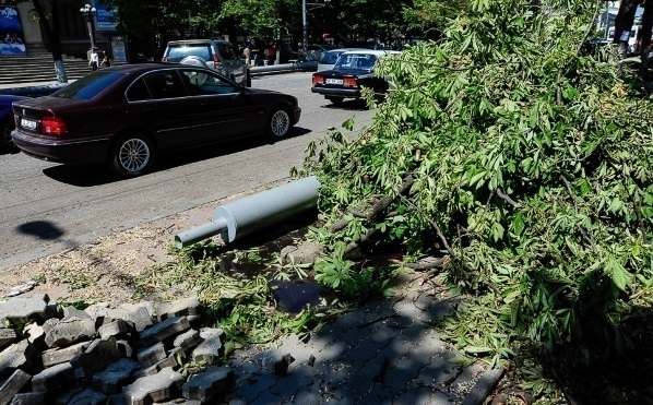 В Кишиневе за ночь рухнули 13 деревьев, два автомобиля повреждены
