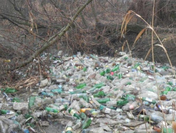 Сотрудники предприятия Spatii Verzi замечены за выбросом мусора в речку Бык