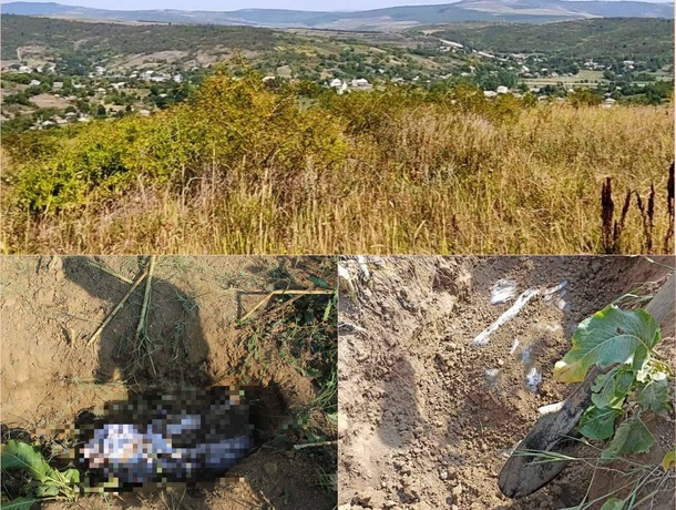 Мужчина убил односельчанку и закопал на окраине села: он задолжал ей