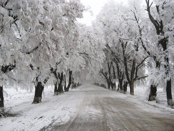 В Молдове ожидается снегопад! Объявлен желтый уровень метеоопасности
