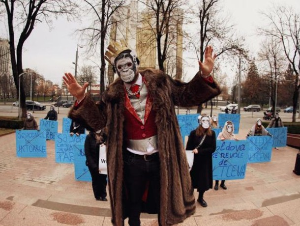 «Протест обезьян» состоялся возле здания парламента в Кишиневе