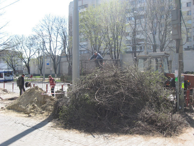 На бульваре Штефана чел Маре вырубают не высохшие деревья