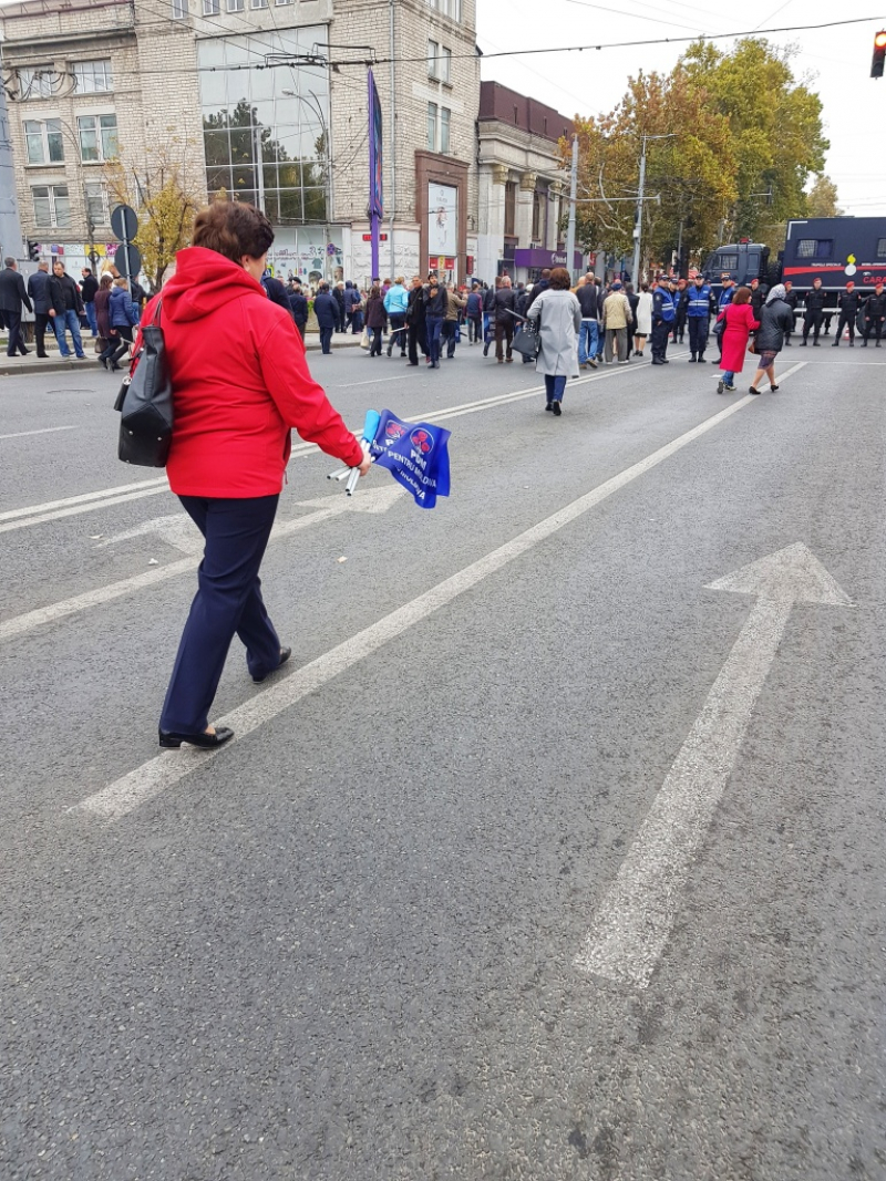20181021_124226-01.jpeg 20181021_124226-01.jpeg