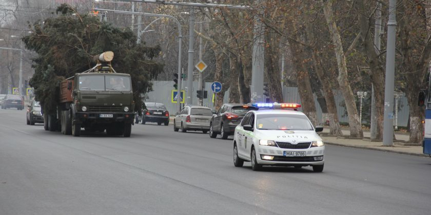 Новогоднюю елку привезли в Кишинев в сопровождении полиции