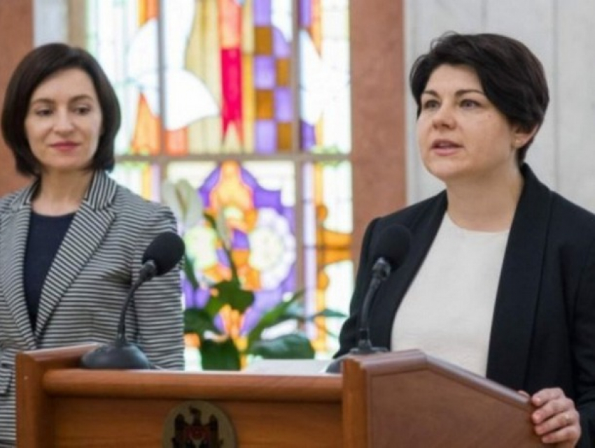 Программа Гаврилицы – интересный  эксперимент с непредсказуемыми последствиями, - мнение   