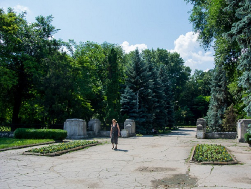 В Кишиневе в парке на месте еврейского кладбища появятся туалет, стадион и солнечное дерево