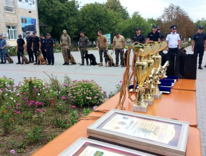 Пограничные псы соревновались в удали и прыткости