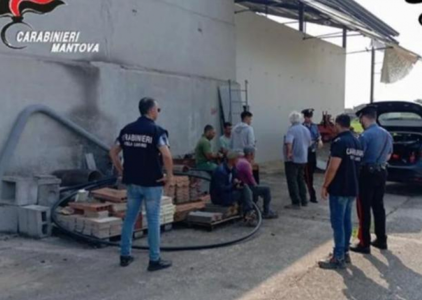 Десятки молдаван вывезли в Италию и превратили в рабов на фермах арбузов и тыкв