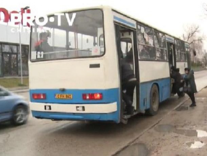 Жители Гратиешт отчаянно ждут новые автобусы - пригород фактически остался без общественного транспорта