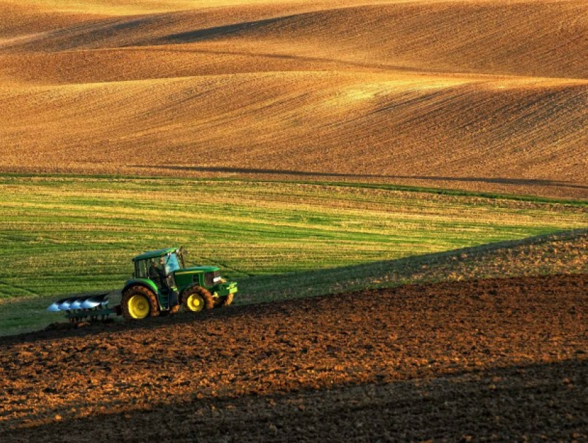 Заявки на субсидии на 2020 год могут подавать сельхозпроизводители