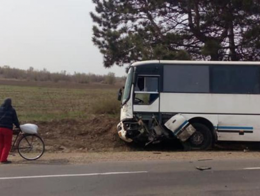 Смертельная авария в Новых Аненах: автобус столкнулся с автомобилем