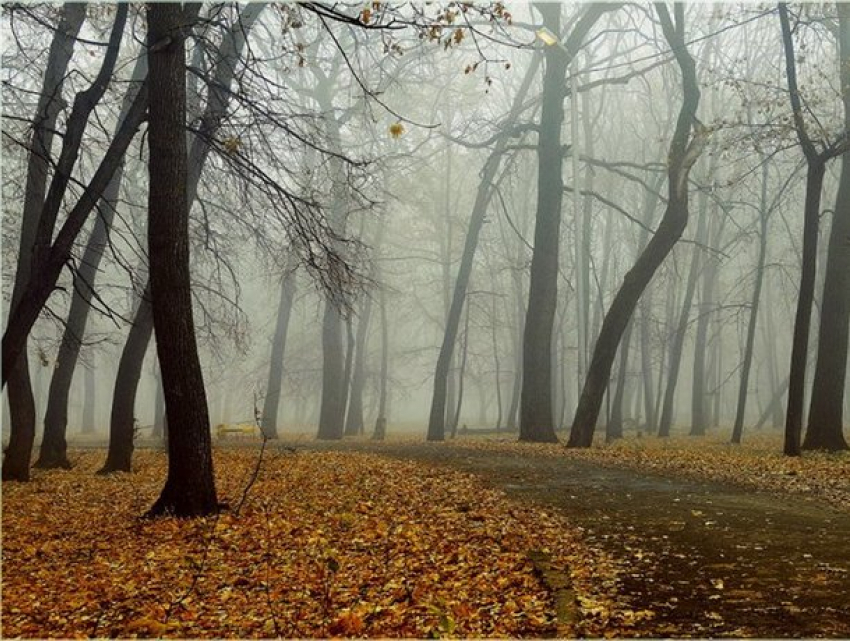 В понедельник в Молдове сохранится прохладная погода 