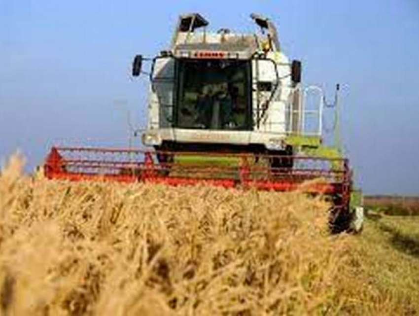 Министр сельского хозяйства заявил об угрозе продовольственной безопасности Молдовы