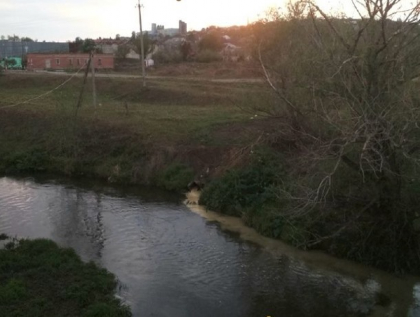 Соцсети: винзавод в Бульбоках сливает нечистоты в реку Бык