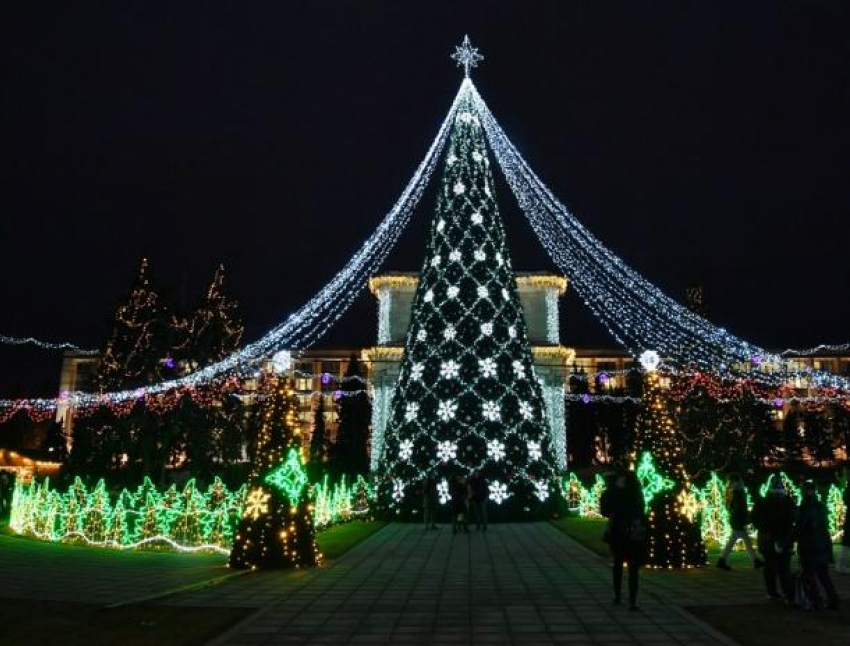 Где купить новогодние ёлки от Moldsilva и сколько они стоят в этом году