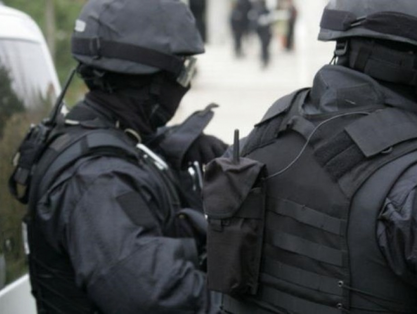 11 человек взяты под стражу по делу о «тренировках» в Сербии