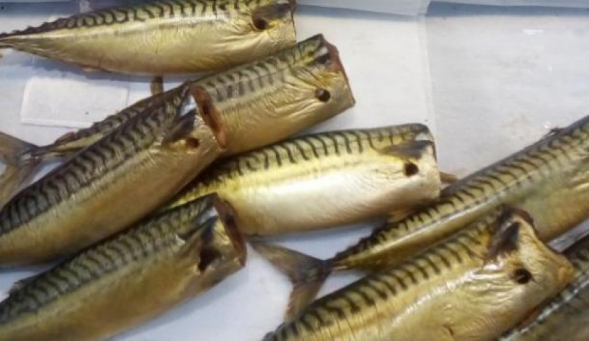 Цены на скумбрию в Молдове в некоторых магазинах взлетели до 390 леев за килограмм: жители возмущены