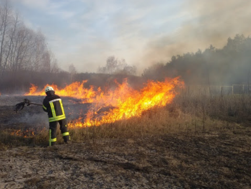 Более 600 гектаров сухостоя стали жертвой пожаров за сутки