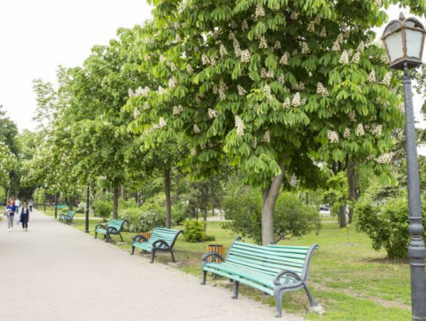 Молдавский «сезон дождей» заканчивается и начинается жаркое лето