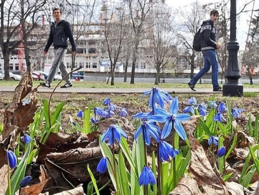 В пятницу в Молдове будет пасмурно
