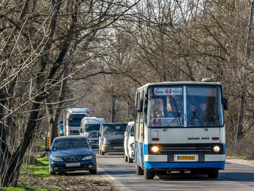 В Кишиневе по отремонтированной улице запустят два автобусных маршрута 