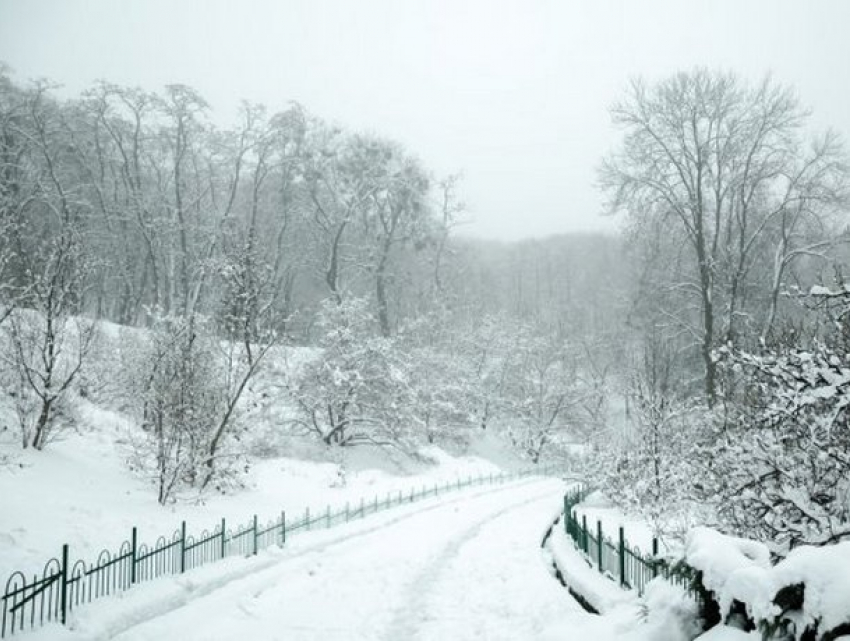 Снег и ветер – погода в воскресенье, 23 января 
