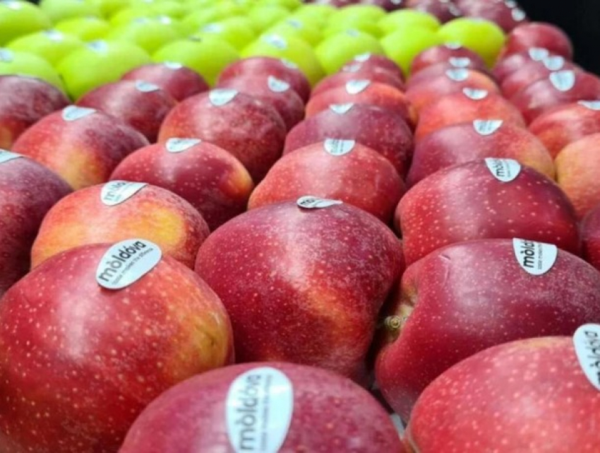 Видимость, а не квоты: как власти предлагают продвигать местные продукты