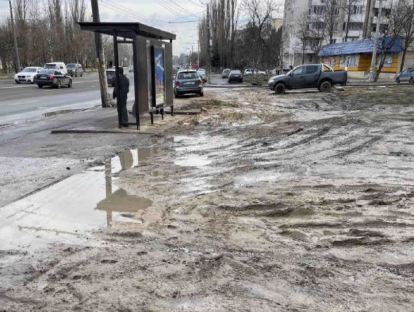 Как в хлеву. Наглые водители превратили газон в грязевое месиво