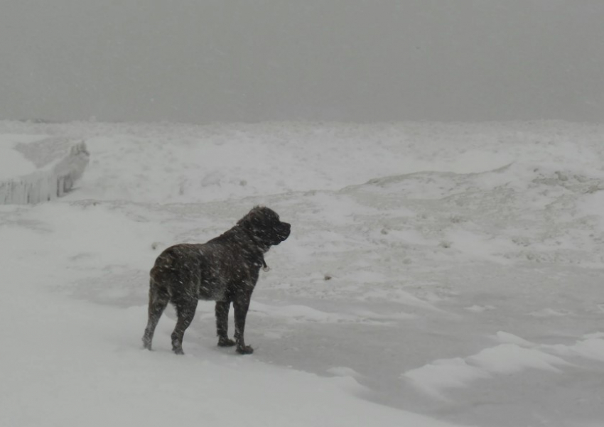 В Молдове ожидаются мокрый снег и гололёд: синоптики предупреждают о сложной погоде