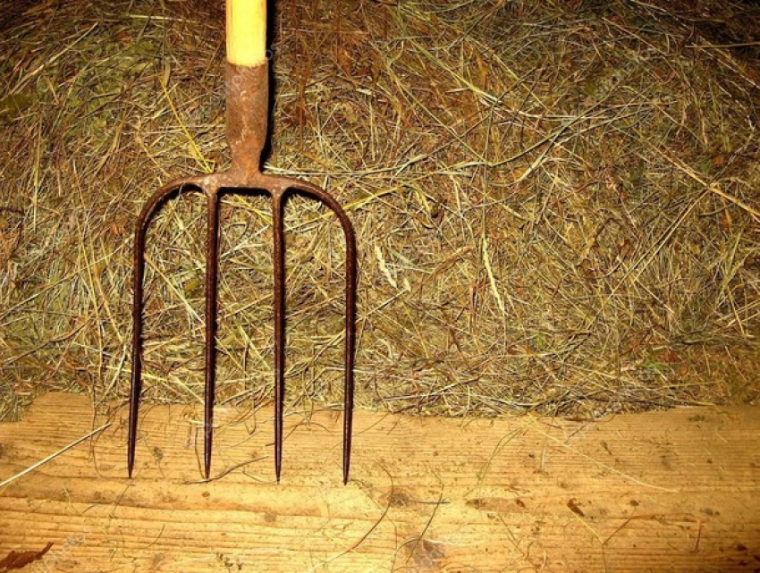 С вилами на соседа: В Теленештах молодой парень чуть не убил пенсионера