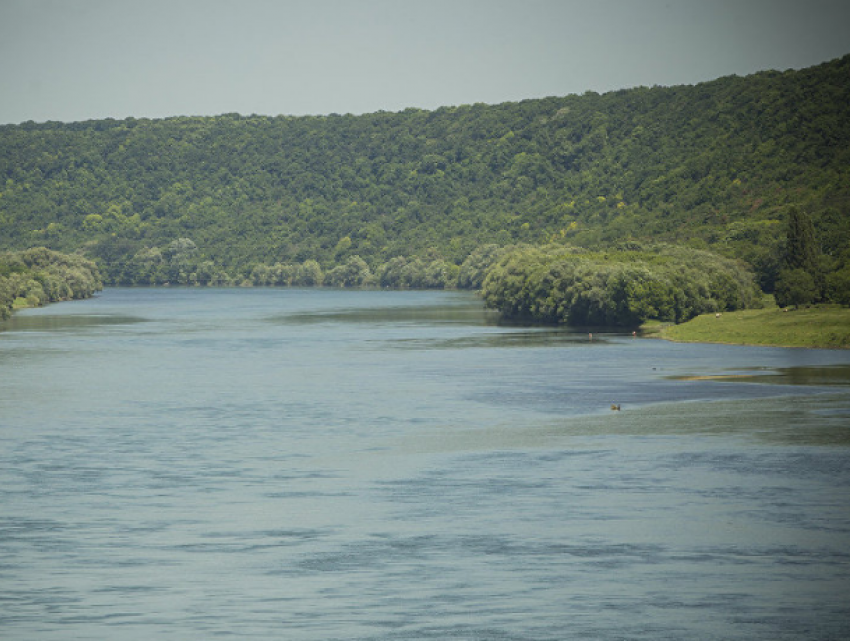 Пытался уплыть от пограничников и утонул – трагедия на Днестре