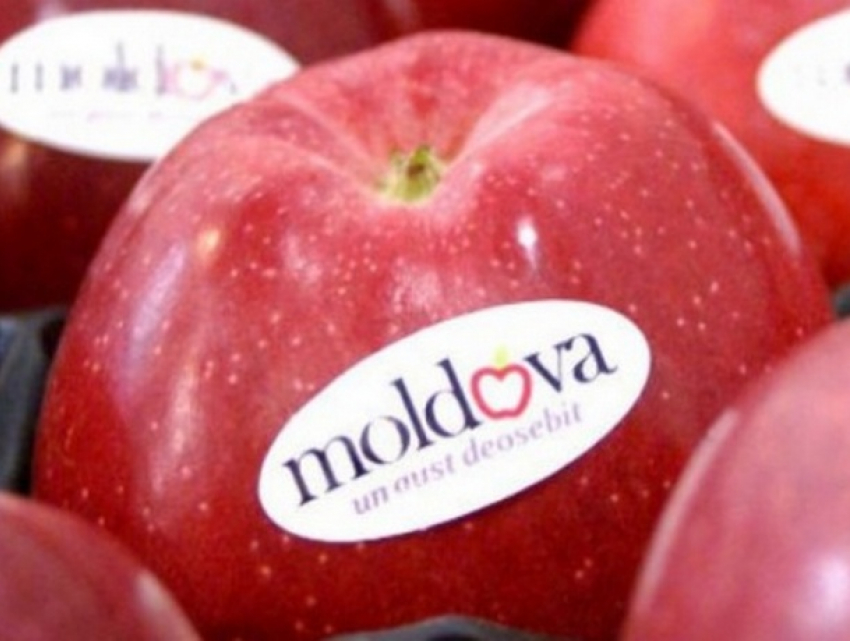 Что нужно знать производителям фруктов в Молдове, чтобы экспортировать свою продукцию на рынок ЕС 