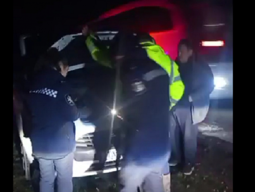 Проверка незаконной вырубки закончилась нападением на экологического инспектора