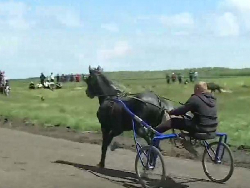 Чемпионат по скачкам прошел в Дрокиевском районе 