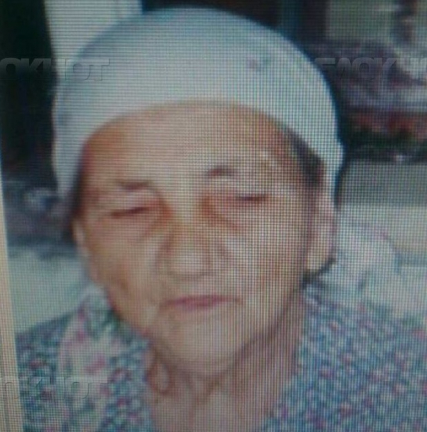 В Садова разыскивают пропавшую 2 недели назад 88-летнюю старушку 