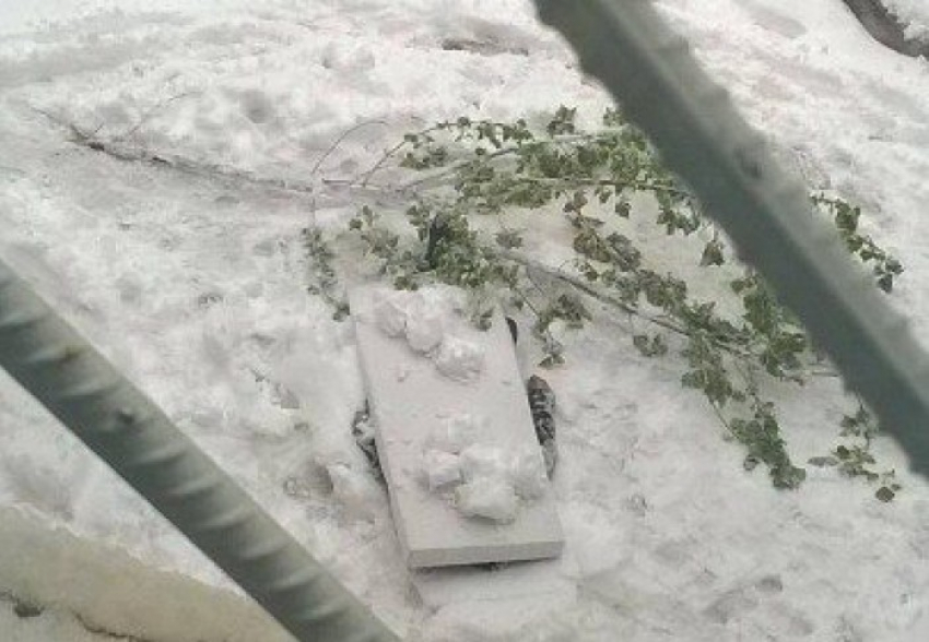 На одной из улиц Кишинева насмерть замерз мужчина 