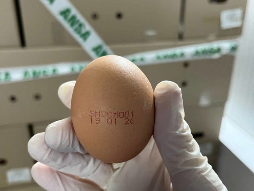 ANSA отзывает из продажи куриные яйца из-за обнаружения запрещенного антибиотика