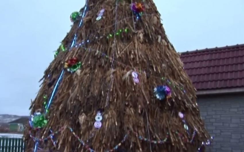 Житель молдавского села сделал «елку» из кукурузных стеблей и украсил ее ботинками