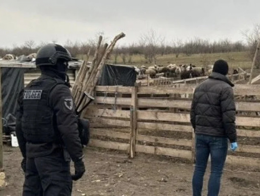 Рабство в 21-м веке: Владелец фермы из Флорешт эксплуатировал людей, избивал и толком не платил им денег