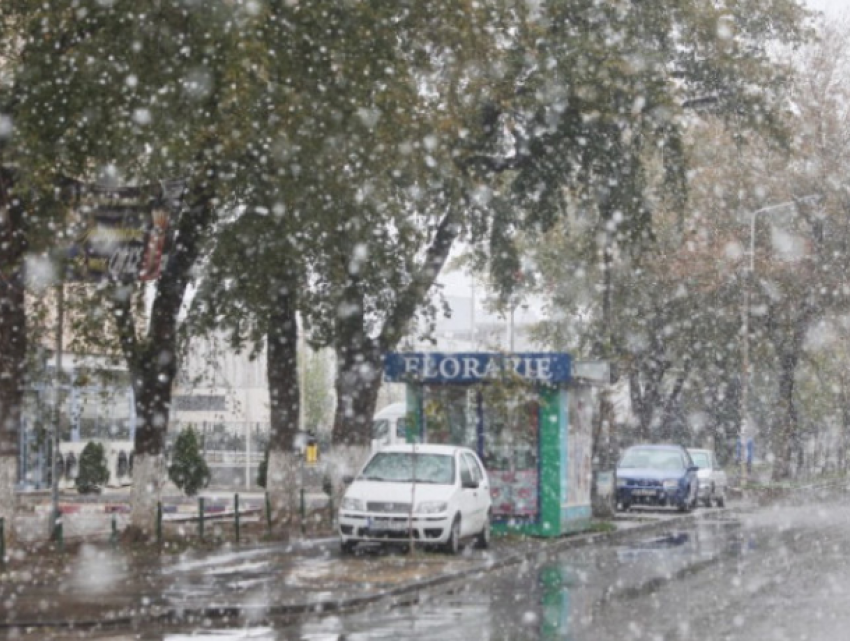 Зима пришла на юг Молдовы - в Кэушанах идет сказочный снегопад