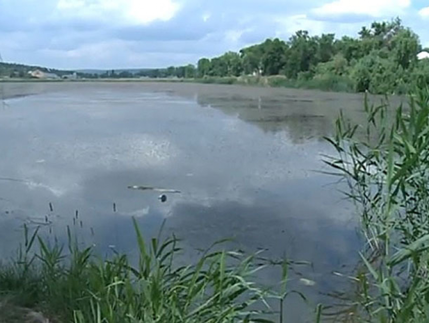 Отрубленную голову Дианы обнаружили в озере на глубине 10 метров: убийца показал место