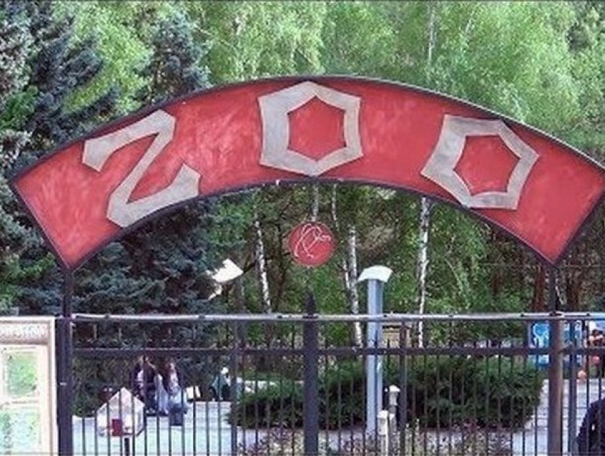 Кишиневский зоопарк готовится к зимнему сезону