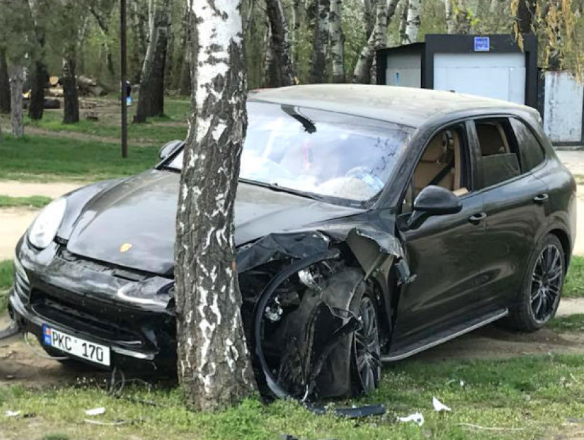 Агрессивный водитель попытался задавить собак в столичном парке, однако разбил машину о березу